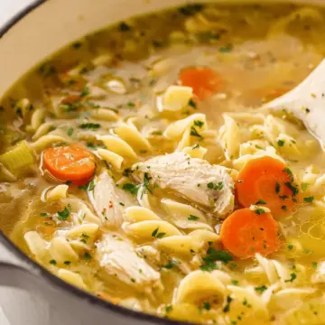 Easy One Pot Chicken Noodle Soup